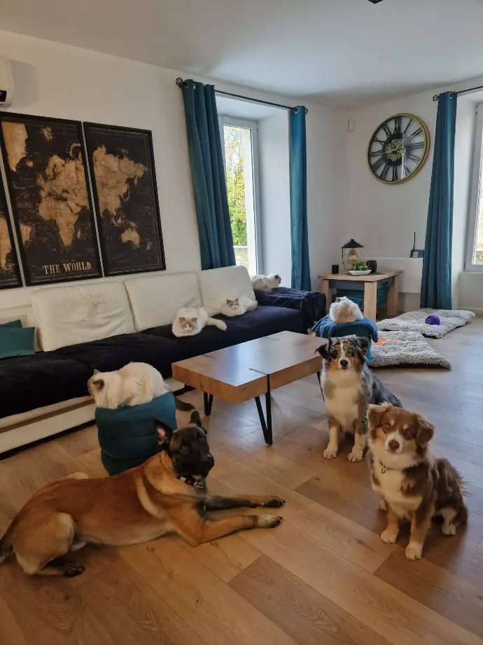 la famille Des Aristos Dolls